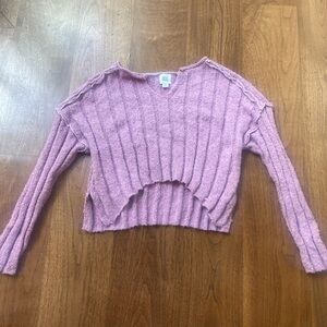 Urban Outfitters pinkish purple sweater